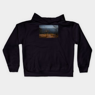 Brown Earth Kids Hoodie